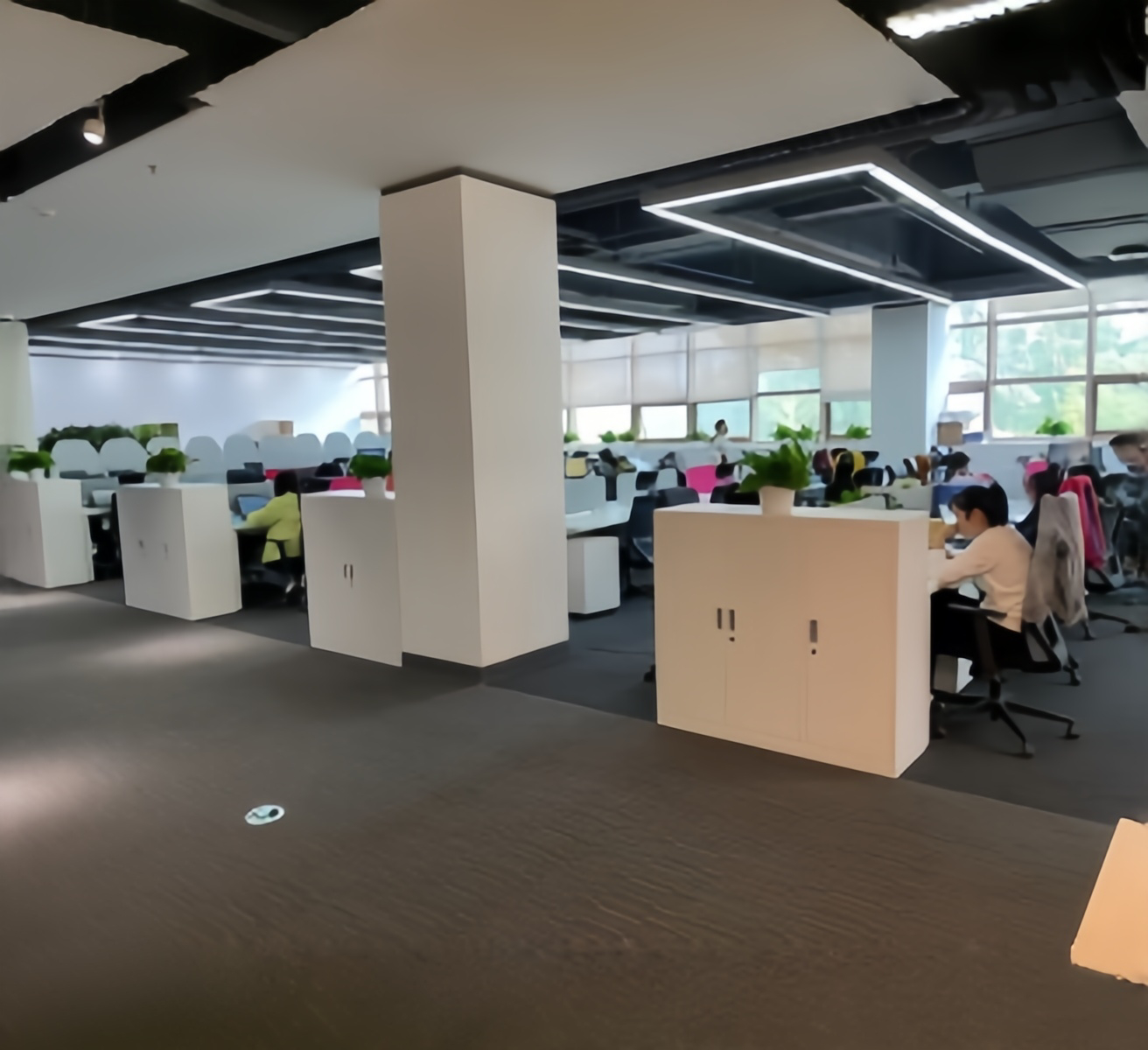 卡尤迪实景 卡尤迪实景